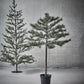 Juletræ med LED, HDPeuce, Natur