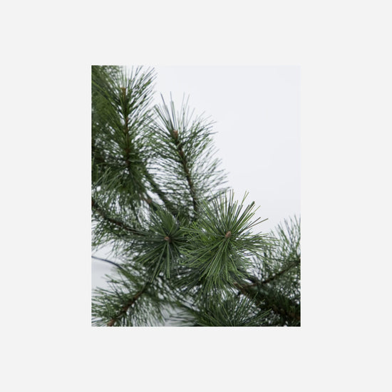 Krans med LED, HDGiant, Natur