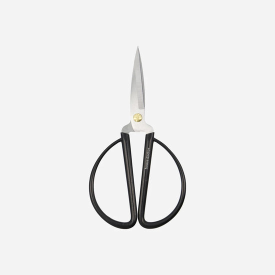 Schere, Shears, Schwarz/Silber