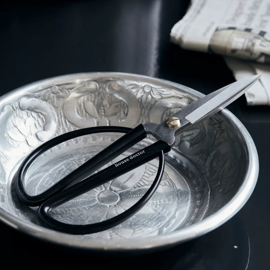 Schere, Shears, Schwarz/Silber