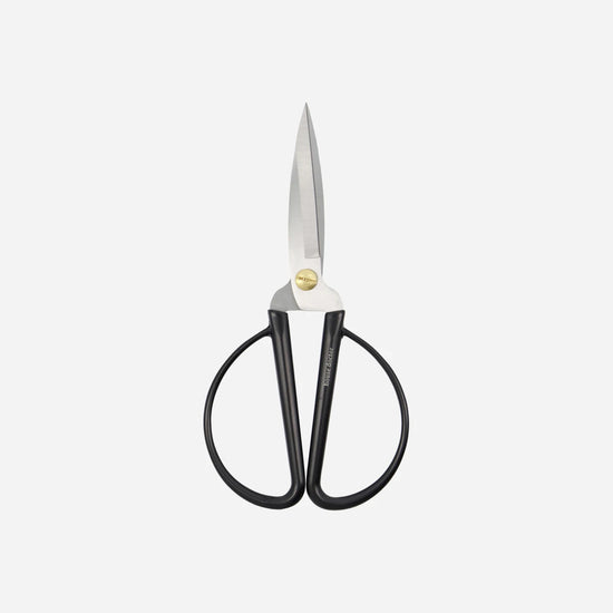 Schere, Shears, Schwarz/Silber