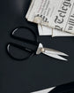 Schere, Shears, Schwarz/Silber