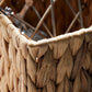Storage, HDStore, Natural