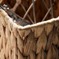 Storage, HDStore, Natural
