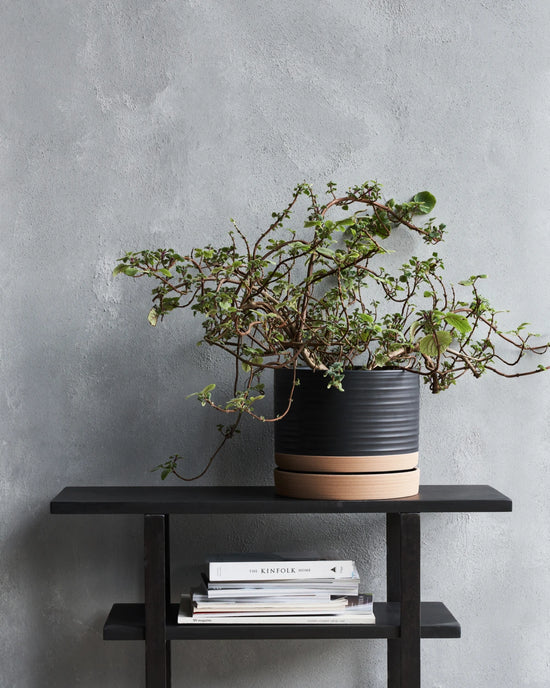 Planter, HDAstu, Black, Natural