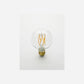 E27 LED bulb, HDGlobe, Clear