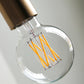 E27 LED bulb, HDGlobe, Clear