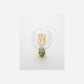 E27 LED bulb, HDGlobe, Clear