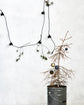 String lights, HDLight, Black