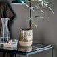 Blumentopf, HDHappy, Khaki