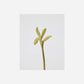 Kitchen utensils, HDServe, Spoon, Antique gold