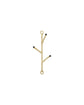 Haken, HDBranch, Natur