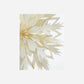 Top star, HDAlsta, White, Golden