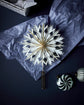 Top star, HDAlsta, White, Golden