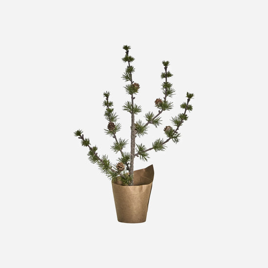 Weihnachtsbaum, HDStay, Grün