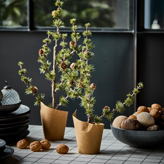 Weihnachtsbaum, HDStay, Grün