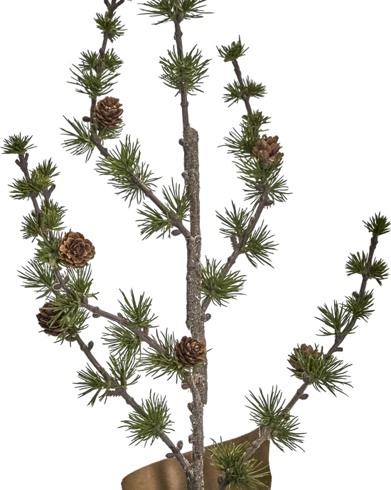 Christmas tree, HDStay, Green