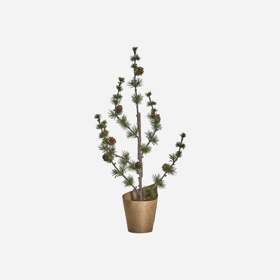 Christmas tree, HDStay, Green