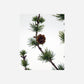 Christmas tree, HDStay, Green