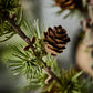 Christmas tree, HDStay, Green