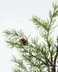 Wreath, HDFrost, Green