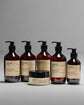 Conditioner, Northern dawn