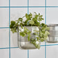 Plante, HDGroove, Antik sølvfinish
