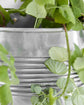 Planter, HDGroove, Antique silver finish