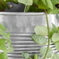 Planter, HDGroove, Antique silver finish