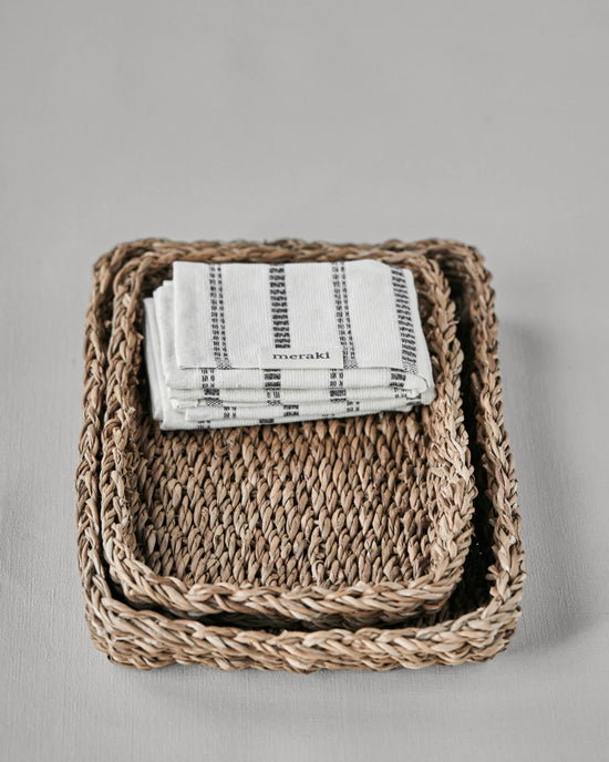 Trays, MKSeagrass, Nature
