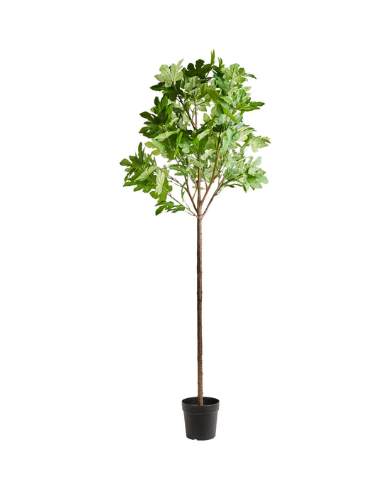 Artificial plant, HDFig, Green