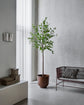 Kunstig plante, HDHornbeam, Green, Purple