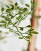 Artificial plant, HDLeaf, Green