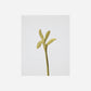 Kitchen utensils, HDServe, Stir, Antique gold