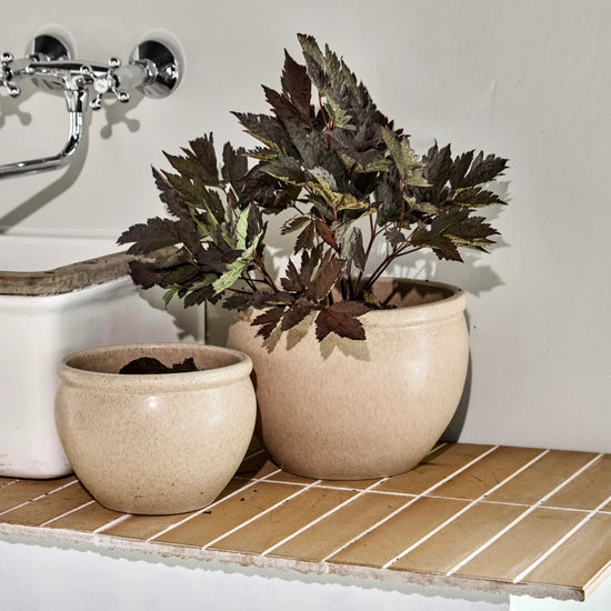Blumentopf, HDVale, Beige