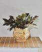 Planter, HDIvy, Beige