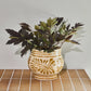 Planter, HDIvy, Beige
