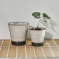 Planter, HDLima, Beige, Green