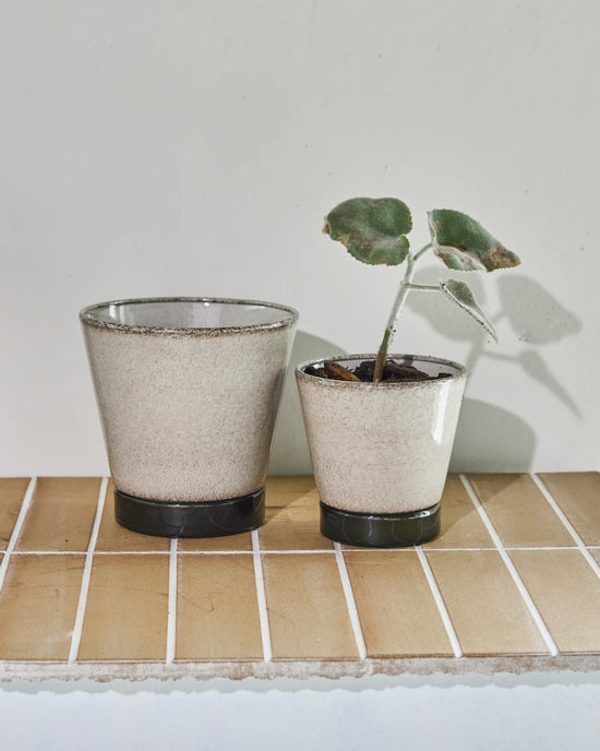 Blumentopf, HDLima, Beige, Grün