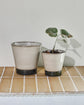 Blumentopf, HDLima, Beige, Grün