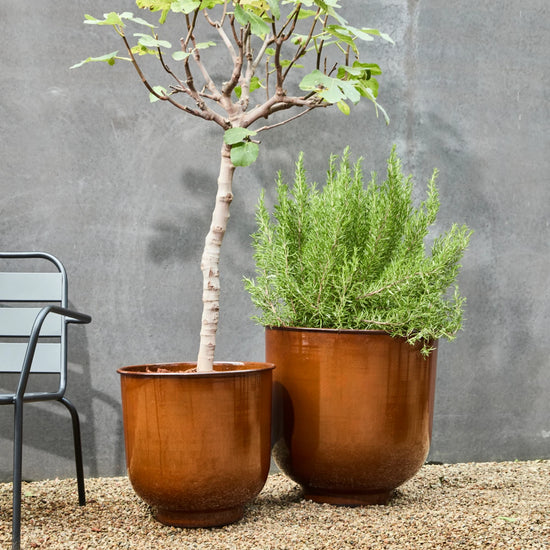 Planter, HDCove, Brown