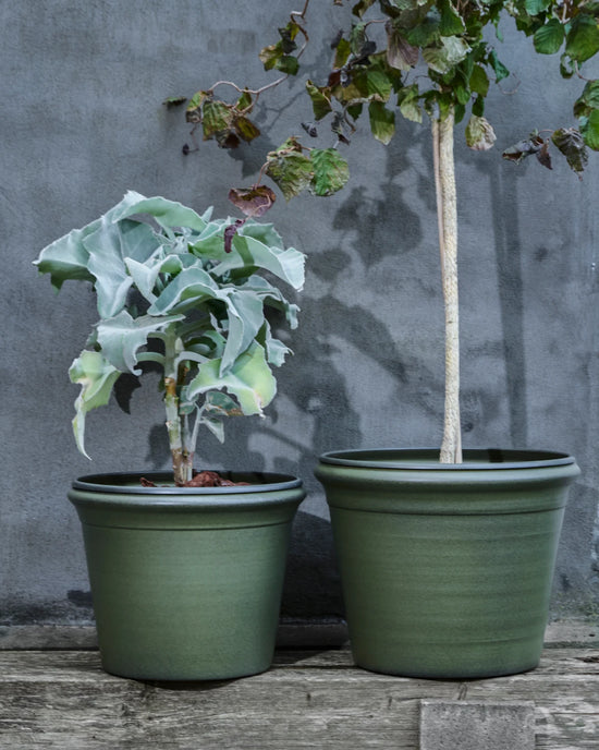 Planter, HDIvy, Green