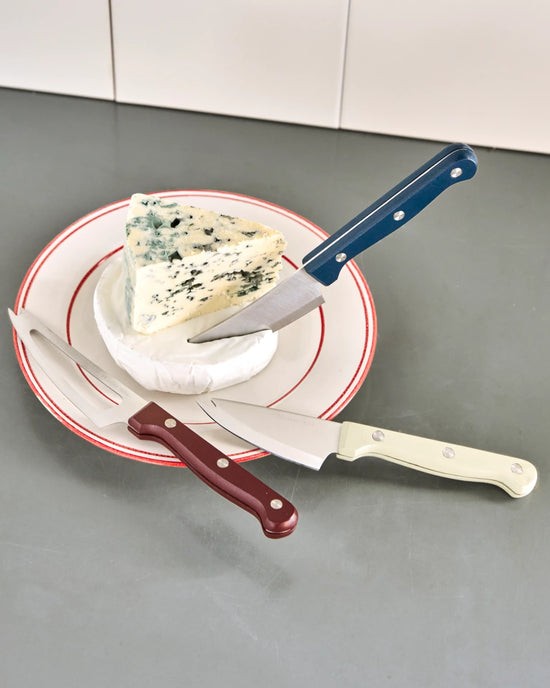 Cheese knives, NVCheese Knives, White, Blue, Red
