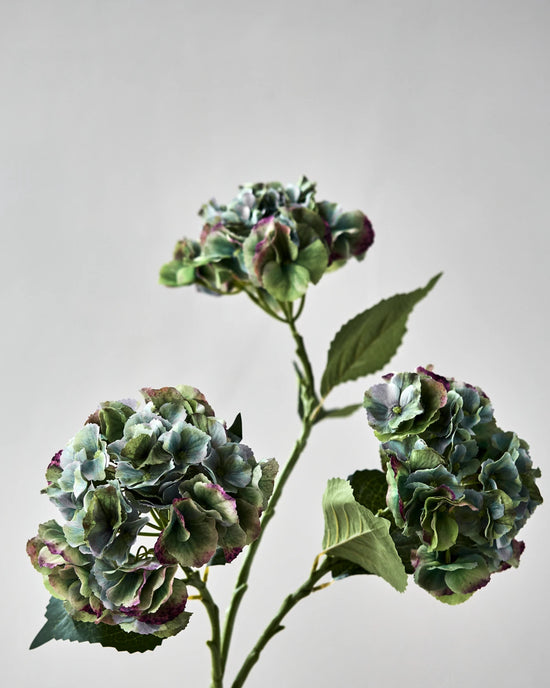 Artificial flower, HDHydrangea, Green, Blue
