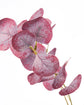 Artificial branch, HDEucalyptus, Bordeaux