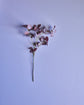 Artificial branch, HDEucalyptus, Bordeaux