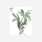 Artificial branch, HDOlive, Grün