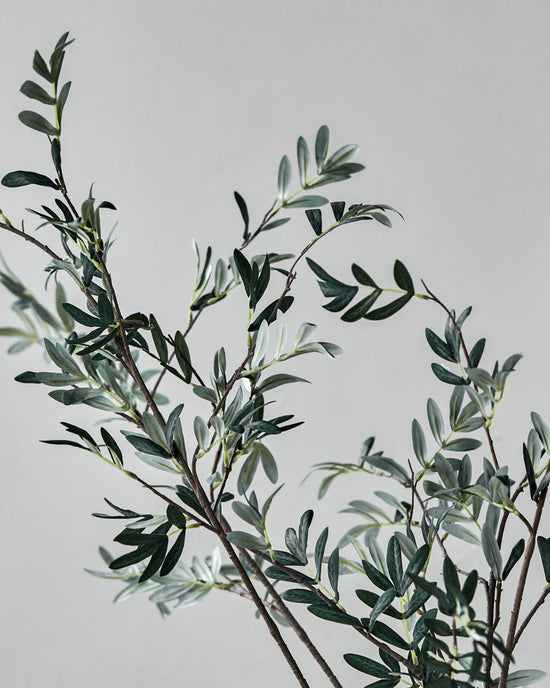 Artificial branch, HDOlive, Grøn