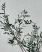 Artificial branch, HDOlive, Green