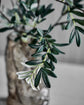 Artificial branch, HDOlive, Grün